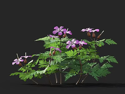 Vibrant Multi Branched Plant With Purple Flowers Green Leaves In Full Bloom 3d model