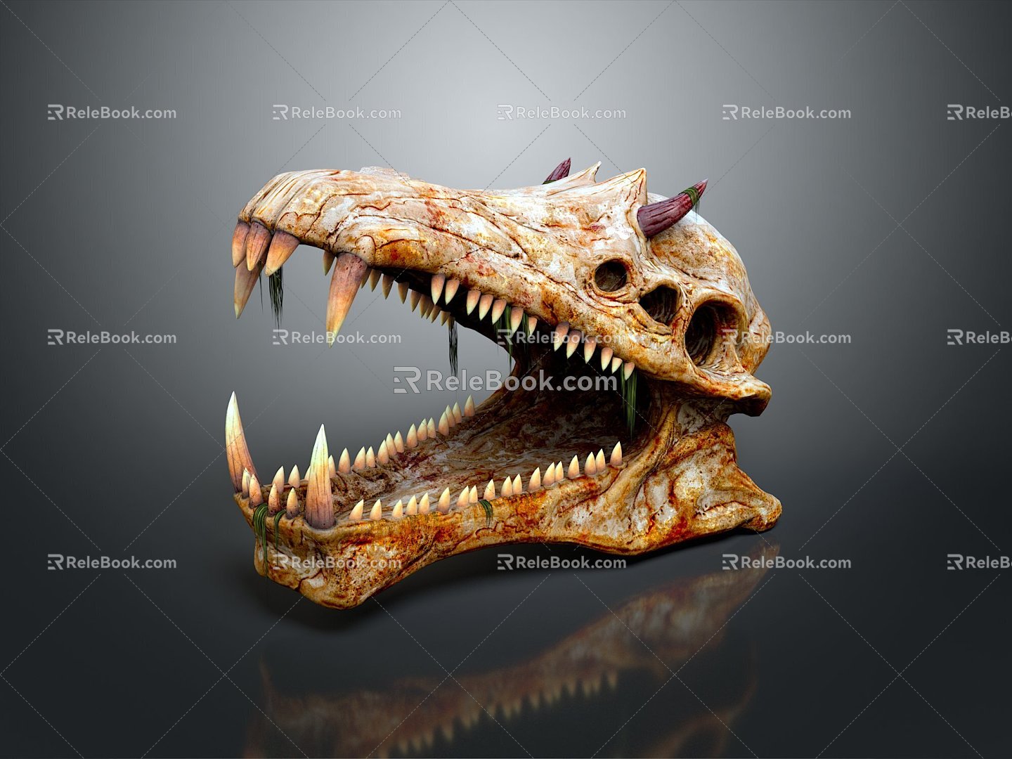 Modern Skull Animal Skull Fossil Skull Skeleton 3d model