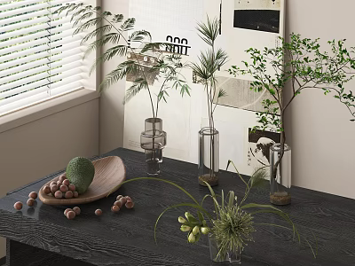 Transparent Glass Vases With Tall And Small Green Plants On Dark Table Window Corner 3d model