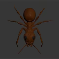 Brown Origami Ant Model With Long Antennae Large Eyes And Six Legs On Dark Background