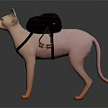 Sphynx Cat With Gray Backpack And Black Straps Standing On Dark Surface 3d model