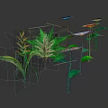 Various Colorful Plants With Diverse Shaped Leaves And Flowers Against Dark Background With Reflections
