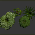 Lush Indoor Potted Plants With Various Green Leaves In Green And White Decorative Pots