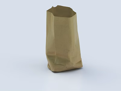Brown Paper Bag Handmade Decorative Ornament Set with Wrinkled Texture for Home Decor Accent 3d model