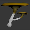 Vibrant Yellow Mushroom with Concave Cap White Spots and White Stem