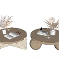 Modern Coffee Tables With Stone Tops Geometric And Spherical Bases Dried Flowers Books