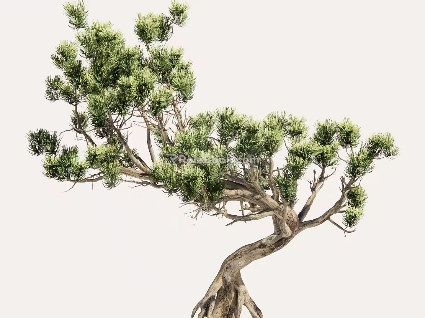 modeling tree modeling loose 3d model