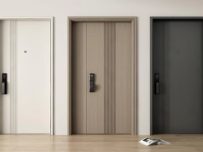 Modern Security Doors With Smart Locks And Various Designs 3d model