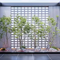 Modern Tree Courtyard Small Tree Scattered Tree 3d model