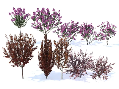 Various Ornamental Trees With Purple Flower Blooms And Brown Foliage For Garden Landscaping 3d model