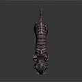Realistic Grey Striped Cat With Green Eyes Standing On Dark Background