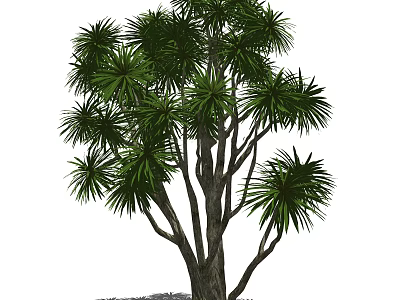 Lush Green Tree With Long Leaves And Multiple Branches In Garden 3d model