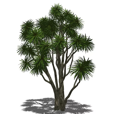 Lush Green Tree With Long Leaves And Multiple Branches In Garden 3d model