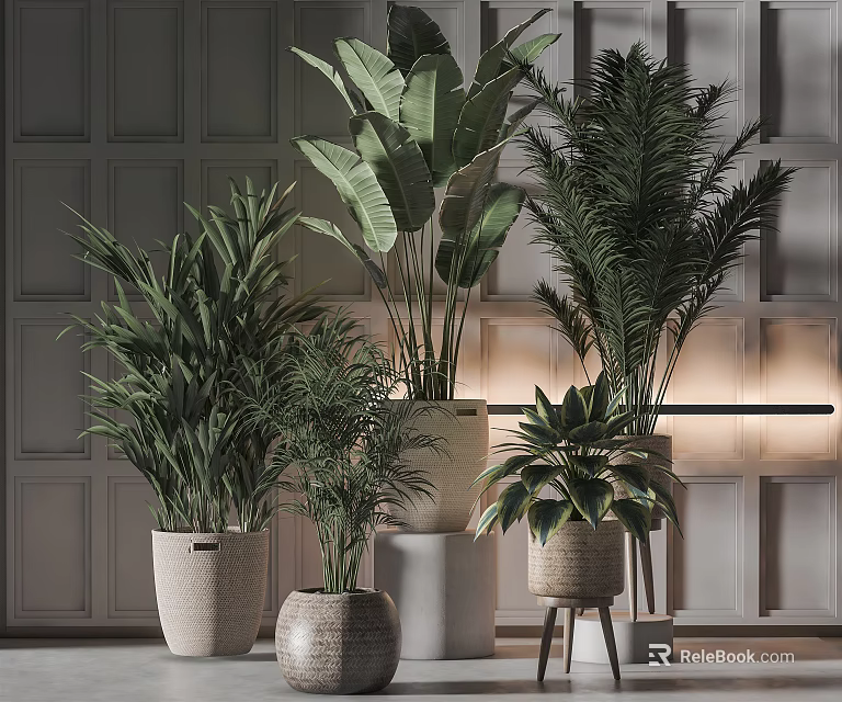 Indoor Bonsai and Potted Plants with Various Green Foliage in Woven Baskets and Ceramic Pots 3d model 