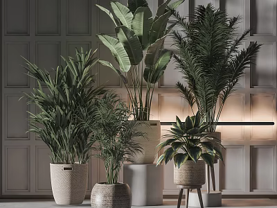 Indoor Bonsai and Potted Plants with Various Green Foliage in Woven Baskets and Ceramic Pots 3d model