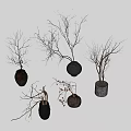 Bonsai Potted Plants With Bare Branches In Various Ceramic And Stone Pots