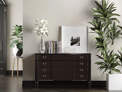 Elegant Dark Brown Entryway Cabinet Sideboard Interior With White Vase Books Photo Frame And Green Plants 3d model