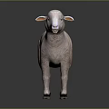 Realistic Light Pink Standing Sheep Sculpture On Dark Background With Reflection 3d model
