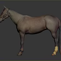 Brown Horse Wearing Reins With White Legs And Yellow Hooves In 3D Rendering