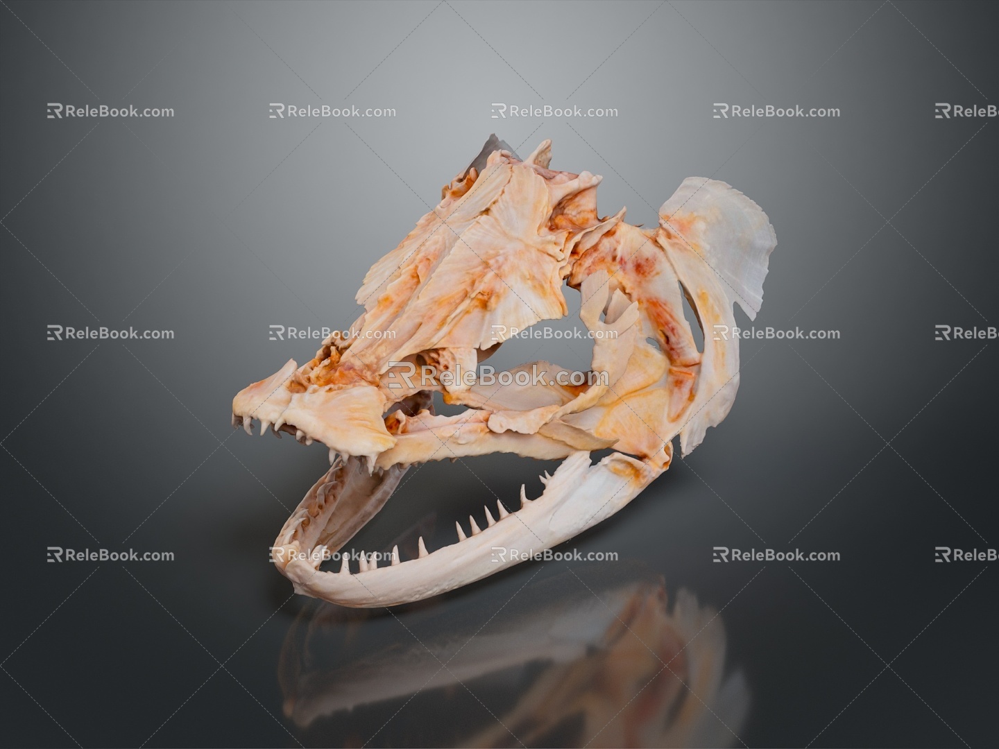 Fat Fish Head Fish Freshwater Fish Sea Fish Animal Game Animal Cartoon Animal PBR Animal 3d model