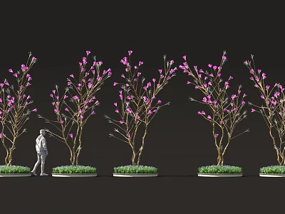 Person Standing Near Pink Flowering Trees With Green Lawn And Dark Background 3d model