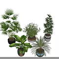Indoor Plant Combination With Various Green Foliage And Decorative Patterned Pots 3d model