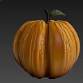 Vine Bearing Ripe Orange Pumpkin With Green Leaf And Smooth Surface