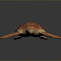 Red Orange Patterned Turtle with Detailed Shell and Flippers 3D Rendered on Dark Background