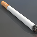 Cigarette With Orange Filter White Body And Black Burned End On Smooth Surface 3d model