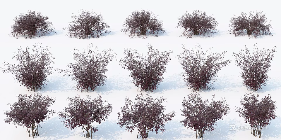 Diverse Shrub Varieties With Purple Foliage Arranged in Rows and Various Shapes 3d model 