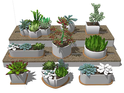 Variety of Bonsai and Potted Succulent Plants in Decorative White Pots Layered 3d model