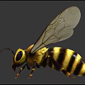 Detailed Yellow and Black Striped Bee with Transparent Wings on Dark Background