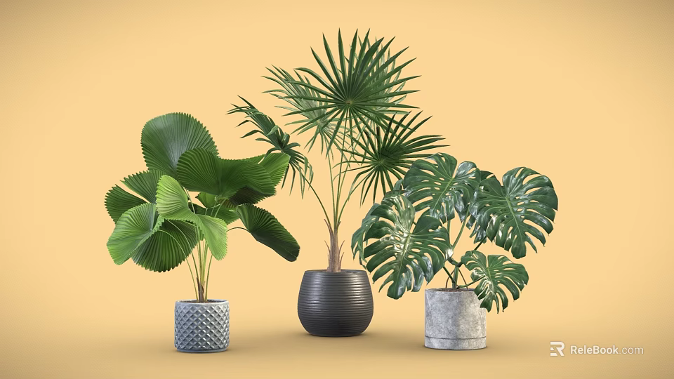 Decorative Indoor Potted Plants with Various Green Leaves and Stylish Planters 3d model 
