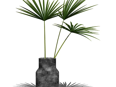 Elegant Gray Concrete Vase With Green Palm Leaves For Home Decor 3d model