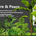 Indoor Tropical Plant Combination For Stylish Green Space With Nature And Peaceful Oasis
