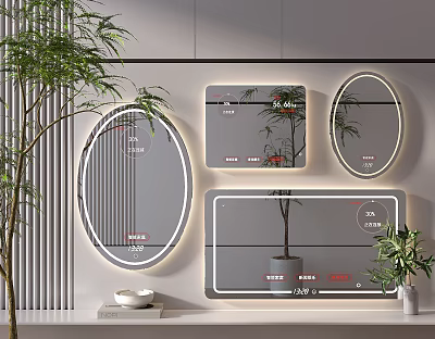 Modern Decorative Wall Mirrors With Various Shapes LED Lighting And Green Plants 3d model