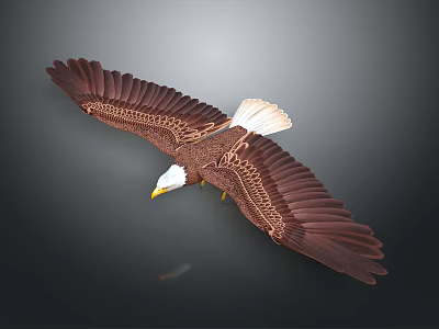 Majestic Brown Feathered Eagle With White Head Flying Spread Wings Gracefully 3d model