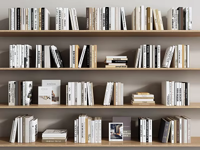 Books And Magazines On Multiple Shelves With Various Sizes And Colors 3d model