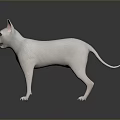 White Cat 3D Rendered Standing On Black Background With Open Mouth And Ears Up