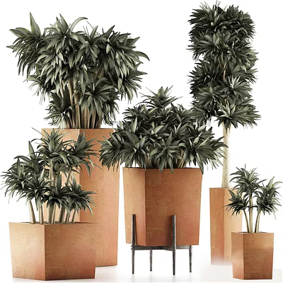 Various Sizes Bonsai Plants In Decorative Pots For Indoor Green Decor 3d model