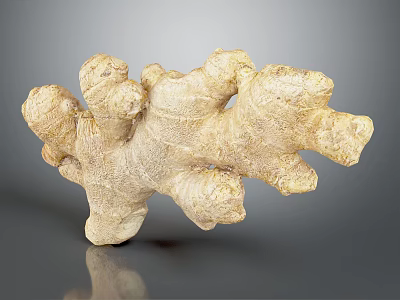 Fresh Ginger Root With Natural Texture On Gray Background And Reflection 3d model
