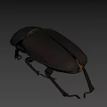 Black Shiny Beetle Insect With Oval Body And Long Legs