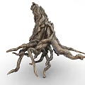 Natural Tree Stump Root System With Intricate Twisted Branches And Rough Textures 3d model