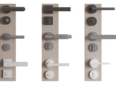 Various Modern Door Handles With Different Styles And Finishes For Home Use 3d model