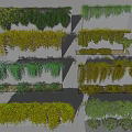 Various Green Plants On Vertical Stone Walls With Hanging And Lush Arrangements