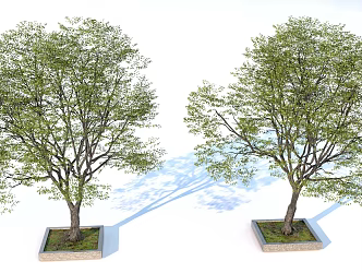 landscape tree tree pool green plant trees 3d model