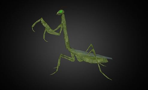 Modern mantis insect mantis reptile 3d model