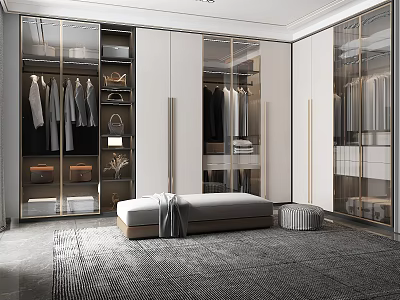 Modern Luxury Walk in Closet Interior With Glass Door Cabinets Hanging Clothes And Bench 3d model