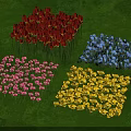 Neatly Arranged Red Pink Blue Yellow Flower Clusters On Green Grass Field