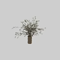 Natural Linen Vase With White Blossom Branches And Fresh Green Leaves